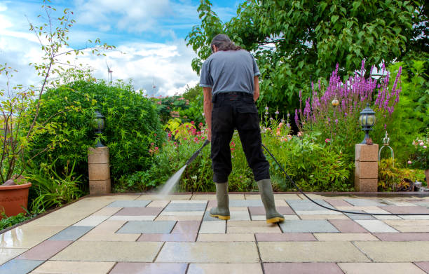 Best Patio and Deck Pressure Washing  in Anahola, HI